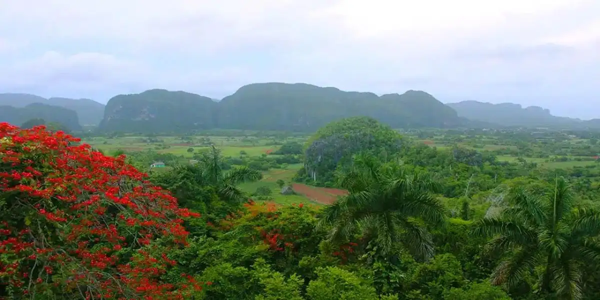 Valle viñales